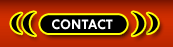 Busty Phone Sex Contact Indianapolis